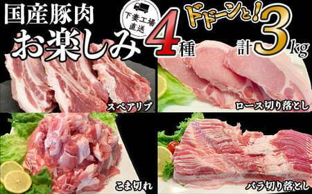 国産豚肉お楽しみ4種セット3kg（小分け真空包装）【下妻工場直送】【 国産豚肉 豚肉 小分け豚肉 豚肉セット 豚肉人気 豚肉4種 マルリン 】