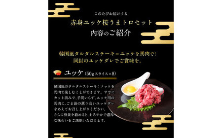 赤身ユッケ桜うまトロセット 計1kg 1000g ユッケ 桜うまトロ(ネギトロ) 馬肉 冷凍 《60日以内に出荷予定(土日祝除く)》 新鮮 さばきたて 真空パック 肉 熊本県球磨郡山江村 馬刺し おつ