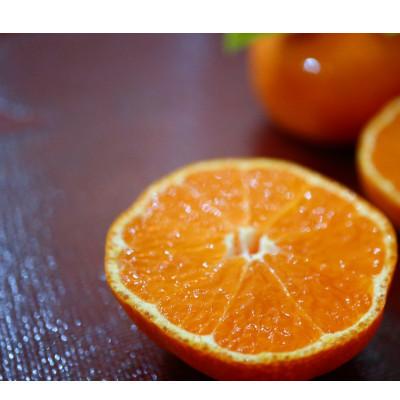 ふるさと納税 三豊市 【発送月固定定期便】香川県・三豊市共通返礼品　フルーツ旬の果物　Cセット全4回 |  | 03