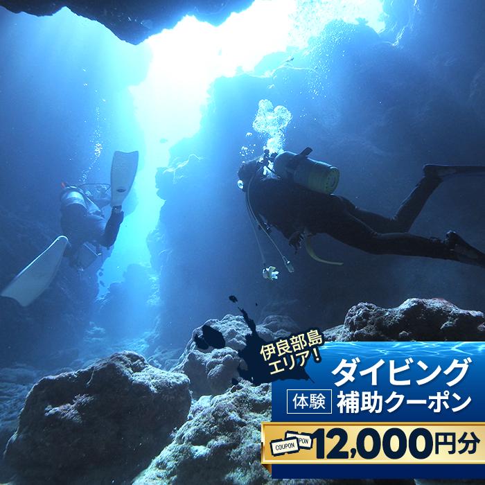 【ふるさと納税】『ダイビング体験補助クーポン（12,000円分）』沖縄県・宮古島(HWM05)
