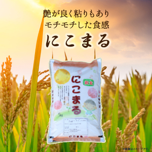 ◎令和7年産◎こだわりの味！人気の品種　井上米穀店さんの「にこまる」 仁井田米／Bib-B06