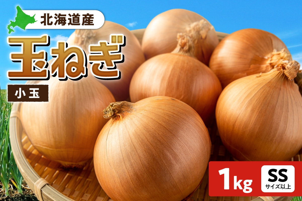 
                  玉ねぎ 北海道産 小玉 1kg SSサイズ以上
                