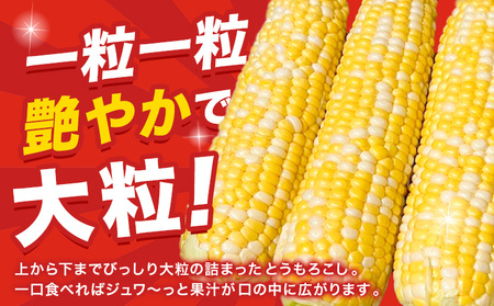 【先行予約】朝採り とうもろこし ビーナスコーン スイートコーン 10本 《8月上旬-8月末頃出荷予定》山下農場 バイカラー 大粒 コーン