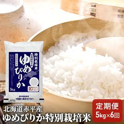 ゆめぴりか 米 精米 特別栽培米 5kg 6回 定期便 令和7年産米 ゆめぴりか