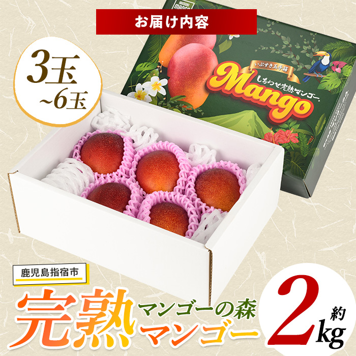 【2026年 発送】しあわせ完熟マンゴー3〜6玉入り(マンゴーの森/044-1768) マンゴー フルーツ 果物 旬 夏 指宿 いぶすき 鹿児島  完熟  お供え 御供 ギフト 贈り物 プレゼント グ
