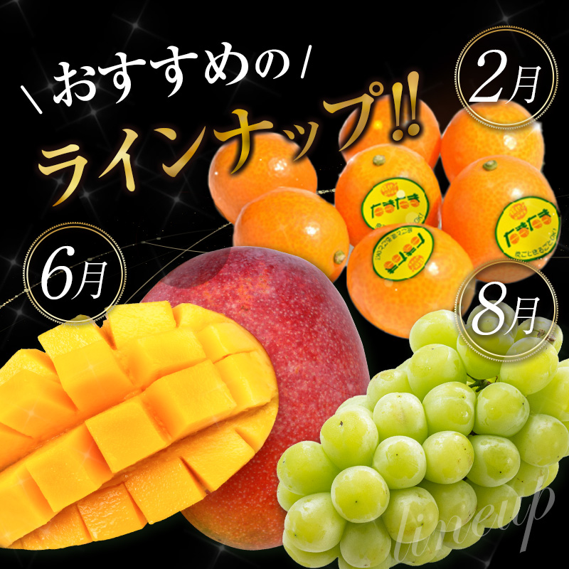 青果店チョイス！くだもの定期便Vol.4（全12回）国産 フルーツ 果物 1年間 毎月お届け 産地直送【F147-2608】_イメージ4