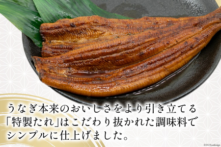 うなぎ 国産 静岡 うなぎ蒲焼 約140g 2尾 セット 計約280g 冷凍
