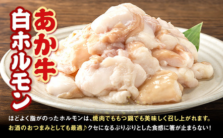 あか牛 白ホルモン 6kg 12ヶ月定期便 五右衛門フーズ 《お申込み月の翌月から出荷開始》 熊本県 球磨郡 山江村 牛肉 肉 国産 熊本県産 ブランド牛 絶品 贅沢 高級 あか牛 ホルモン もつ モ