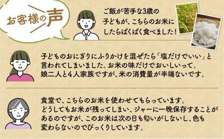 【令和7年産 新米】 飛騨コシヒカリ 「飛騨の米」  白米（玄米対応可） 10kg | こしひかり 飛騨産 精米 白米 玄米お米 飛騨高山 ファームジネンいいむら GG011