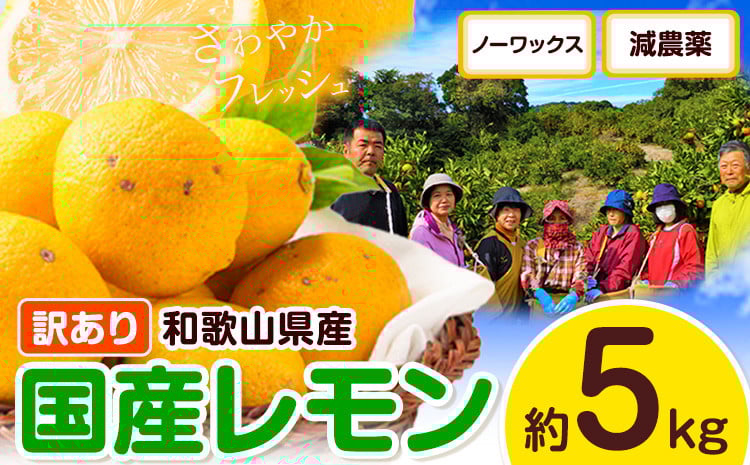 
            訳あり レモン 国産 約 5kg (サイズ混合)  ノーワックス 減農薬 どの坂果樹園《2026年2月上旬-5月末頃出荷》 和歌山県 日高川町 レモン れもん 檸檬 果物 フルーツ 訳あり 送料無料 【わけあり・訳ありレモン】
          