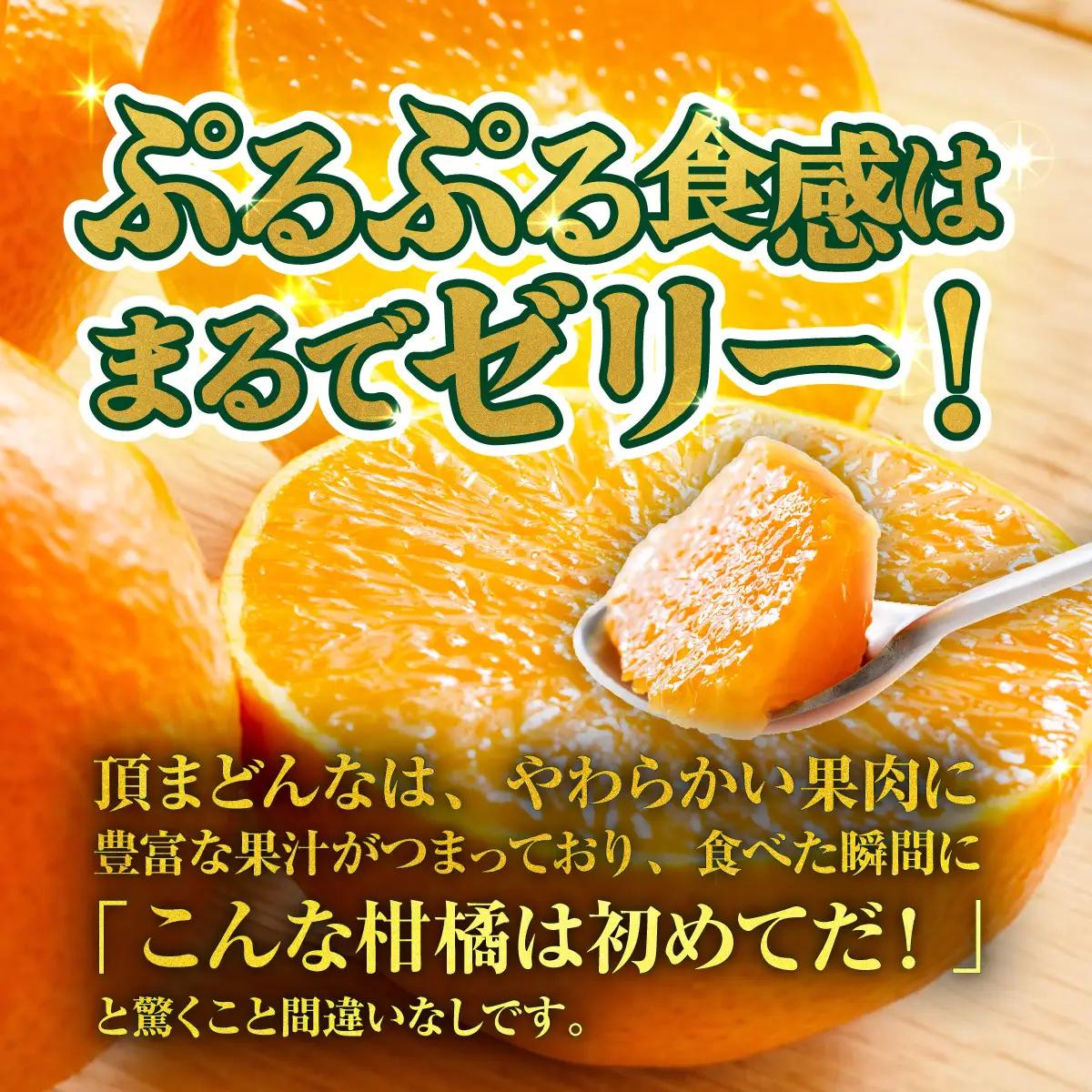 ＜【訳あり】愛媛県産 頂まどんな 約3kg＞『2026年11月下旬～1月上旬迄順次発送予定』 わけあり 訳アリ 甘い とろける 食感 ゼリー食感 マドンナ 高級柑橘 みかん 蜜柑 果物 くだもの フル