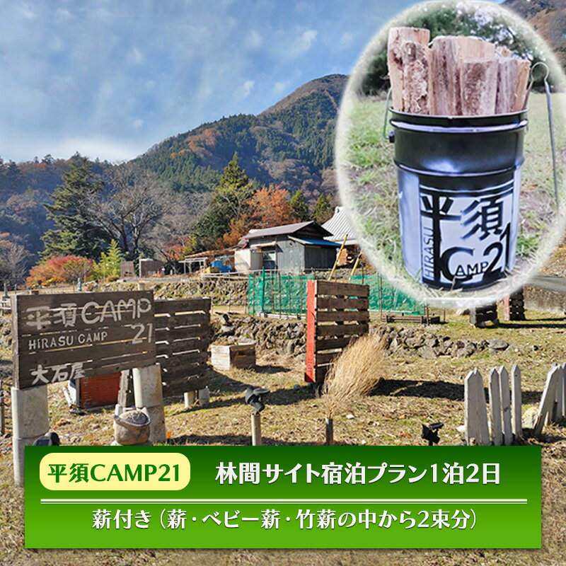 【ふるさと納税】宿泊プラン　林間サイト　薪付 山梨県 キャンプ キャンプ場 利用券 宿泊券 アウトドア