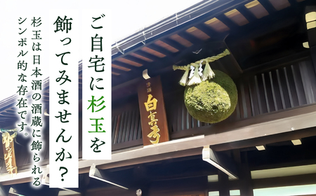 日本酒ライフに彩りを！杉玉直径30cm。自宅やお店のインテリアに。【67-1】杉玉 すぎだま 杉だま スギ