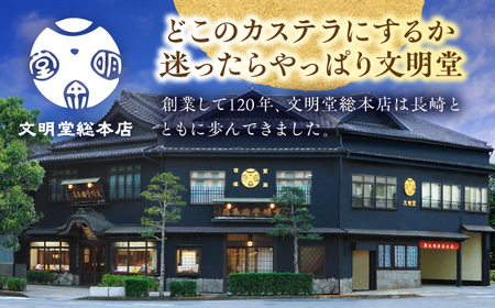 【全3回定期便】 長崎 カステラ 3本（10切/本） 長与町/文明堂総本店 [EAK027] 定期便  定期 定期便 定期 複数 定期便 毎月 定期便 届く 定期便 定期便