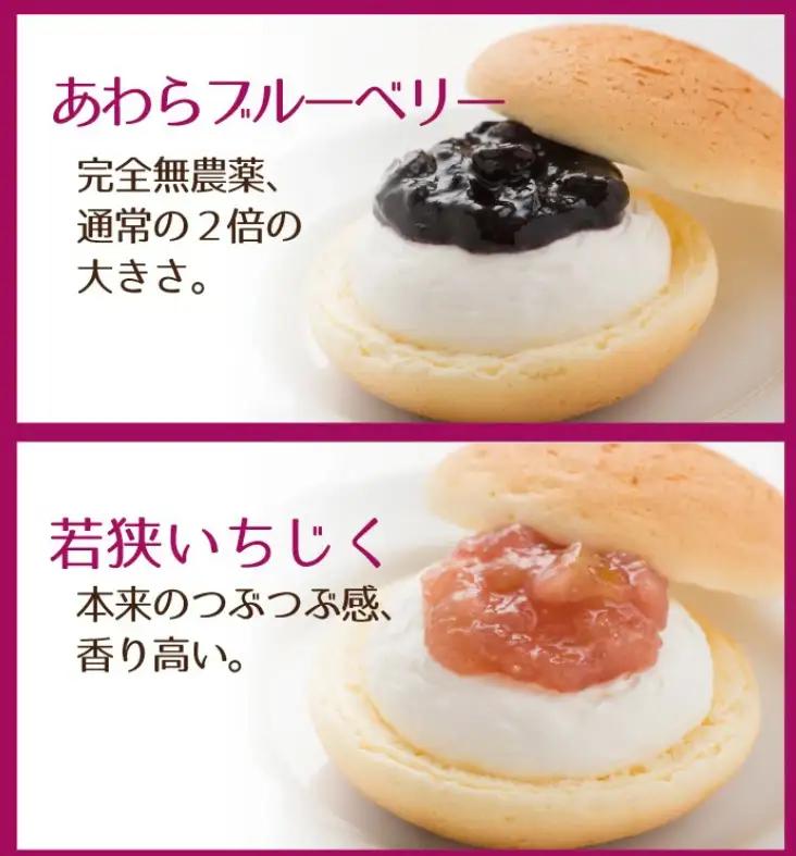 ふわとろブッセ10個入り（5種×各2個）【甘さ控えめ 洋菓子 スイーツ 福井県産 フルーツ チーズ風味 高井屋】 [A-019001]
