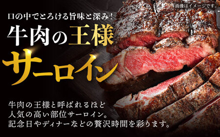 【12回定期便】サーロイン ステーキ 400g（200g×2枚） / サーロインステーキ 牛肉 定期便 長崎和牛 A5 希少部位 A5 / 諫早市 / 野中精肉店 [AHCW029]