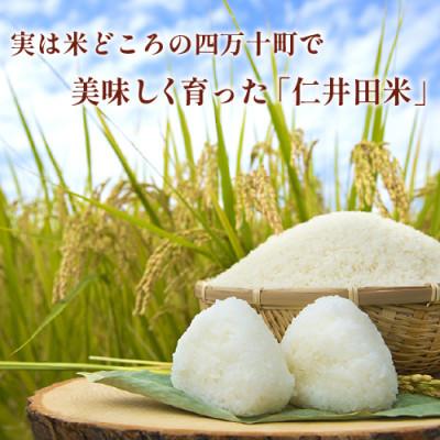 ふるさと納税 四万十町 四万十町産 無洗米「にこまる」 5kg　罪悪感は必要ナシ!家事をサボってうまいお米を食べてください! |  | 01