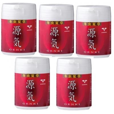 ふるさと納税 豊後高田市 冬虫夏草　源氣(とうちゅうかそう　げんき)×5個組