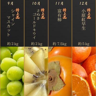 ふるさと納税 三豊市 【発送月固定定期便】完全数量限定!月の旬果プレミアム等級定期便♪(12ヶ月連続)全12回 |  | 03