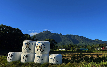 【八幡平ひつじ】 羊肉 スライス おまかせ 300g ラム または マトン ／ 羊肉 ひつじ肉 ジンギスカン グルメ ヘルシー お取り寄せ お取寄せ 自宅用 家庭用 冷凍発送 真空パック 焼肉 焼き肉