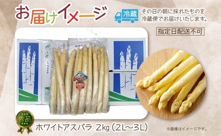 【2025年発送】 ホワイトアスパラ 2kg(2L~3L )【 秀品 】 白い  旬  新鮮 野菜 朝採れ アスパラ アスパラガス ギフト 産地直送  お取り寄せ フレッシュ 健康 アンチエイジング