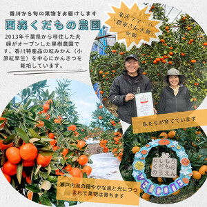 『2025年冬先行受付』香川オリジナル品種「紅みかん(小原紅早生)」小玉4kg
