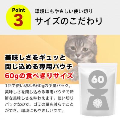 ふるさと納税 久留米市 A Pro猫用パウチ まぐろ・かつお ささみ・サーモン入り 60g×72袋(久留米市) |  | 01