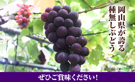 ニューピオーネ 2房【配送不可地域あり】ピオーネ