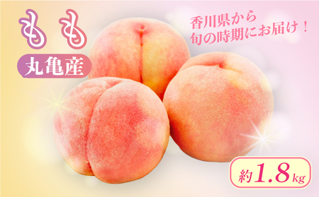 【先行予約】 桃 約1.8kg 5-10玉入 1箱 贈答 香川県 丸亀市