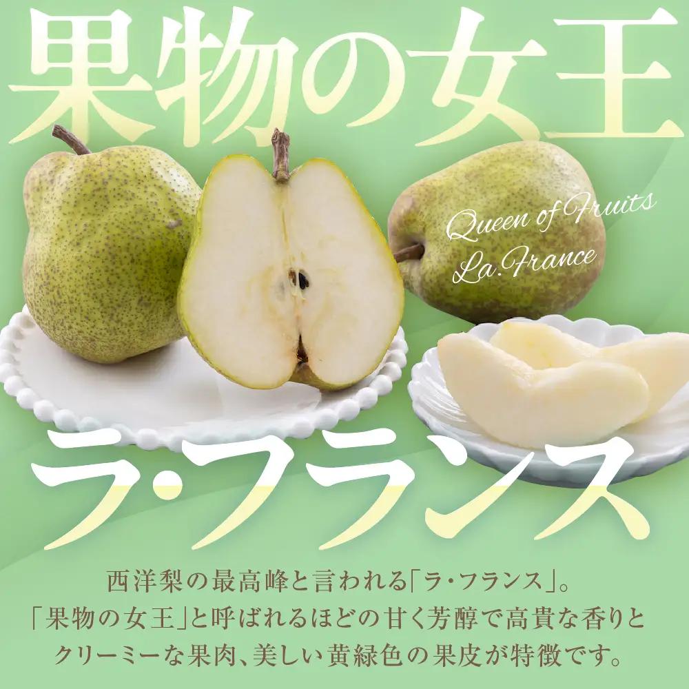 2026年産 山形セレクション ラ・フランス 3kg ラフランス