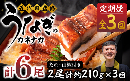 国産若うなぎ 2尾 定期便3回 うなぎ