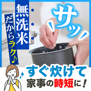 【12月後半発送】令和7年産 無洗米 5kg まっしぐら 新米 5キロ 青森県産
