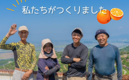 ＜ R8年熊本地震復興支援 ＞【訳アリ】「河内みかん堂」のみかん4kg＋傷み補償付き（家庭用）【2026年11月上旬～2027年2月上旬まで発送予定】