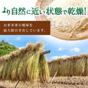 【令和7年度産 新米】 にじのきらめき 5kg ※2025年10月中旬～順次発送（着日指定不可）【jahd010】 