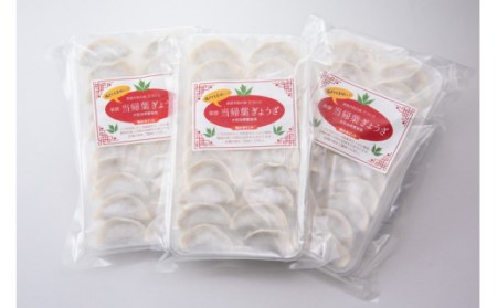 当帰葉餃子 60個入り