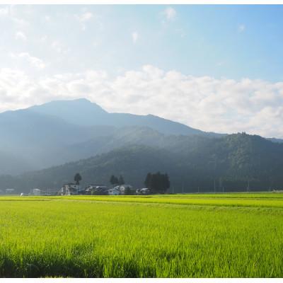 ふるさと納税 南魚沼市 令和6年産　南魚沼塩沢地区「大沢産コシヒカリ」特A米(※)5kg×1袋 |  | 02