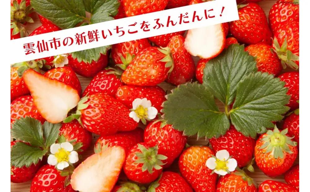 いちごジャム3個セット