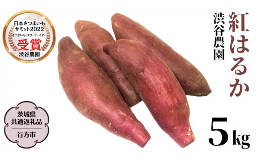 《 2026年 収穫分 》 紅はるか 約 5kg (茨城県共通返礼品 行方市) 先行予約 渋谷農園 国産 茨城県 桜川市 さつまいも サツマイモ いも 芋 新芋 焼き芋 やきいも 野菜 旬 人気 おやつ 自宅用 家庭用 [DT001sa]