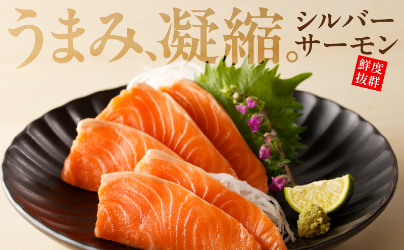 サーモン 定期便 1kg×全2回【ポーション 訳あり サイズ不揃い 刺身 海鮮丼 さーもん サラダ カルパッチョ 鮭 さけ シャケ しゃけ 人気 小分け 冷凍 家計応援】 099Z345