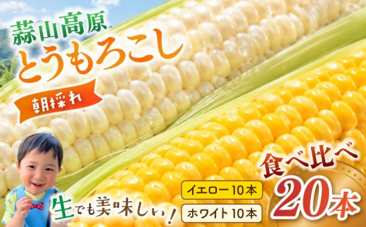 
                  蒜山高原 とうもろこし ミックス20本 / 数量限定 人気 朝採り 新鮮 スイートコーン トウモロコシ 高糖度 甘い 夏野菜 岡山県 真庭市 産地直送 ギフト 【配送不可地域：北海道／沖縄県／離島】【jujy004-02】
                