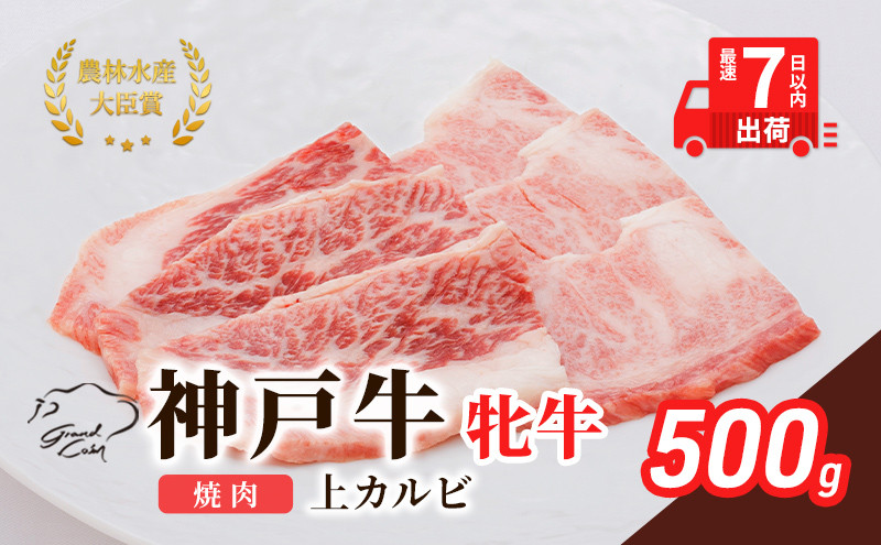 
【最短7日以内発送】 神戸ビーフ 神戸牛 牝 上カルビ 焼肉 500g 川岸畜産 冷凍 肉 牛肉 すぐ届く
