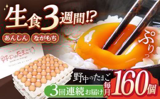 【3回定期便】産みたて新鮮卵 野中のたまご  160個×3回 計480個【野中鶏卵】[OAC010] / 卵 たまご 長持ち 濃厚 玉子 卵 濃厚 タマゴ 鶏卵 オムレツ 卵かけご飯 卵焼き 卵 おいしい 美味しい たまご 料理 新鮮 卵 自宅 贈答 定期便