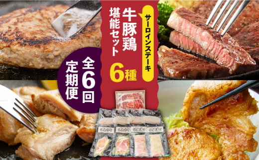
【6回定期便】【牛 ・ 豚 ・ 鶏 を堪能セット！】長崎和牛 サーロイン ステーキ 5人前 200g×5 長崎じげもん豚 と 雲仙しまばら鶏 詰合せ(8人前) / 南島原市 / 溝田精肉店 [SBP045]
