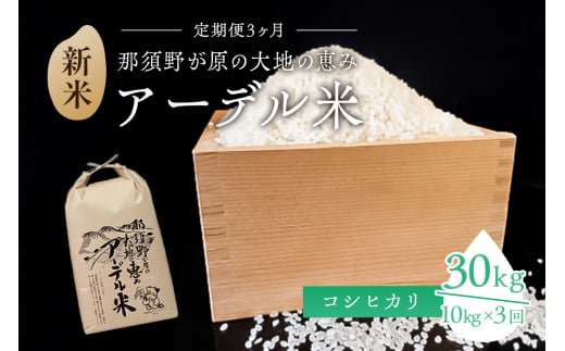 【令和6年産米】『定期便3ヶ月』那須野が原の大地の恵み アーデル米（コシヒカリ1袋10kg）＜出荷開始：2024年10月下旬～＞ ns061-002