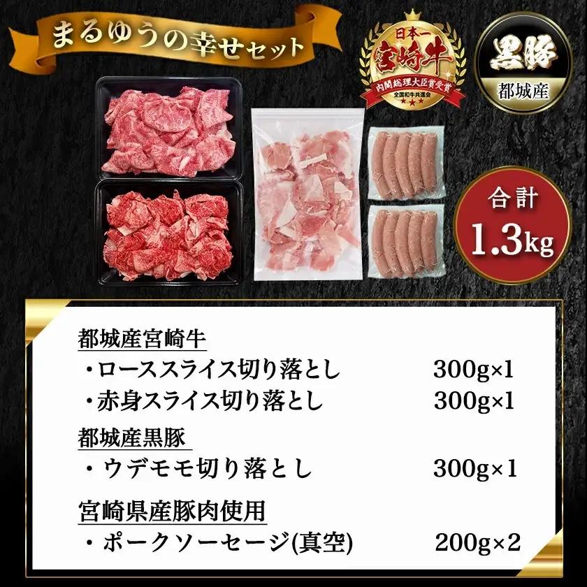 宮崎牛と黒豚+ポークソーセージの詰め合わせセット〔AC-N4-001〕_(都城市) 宮崎県産 都城産 宮崎牛 牛肉 黒毛和牛 ロース 赤身 黒豚 ウデ/モモ 切り落とし ソーセージ