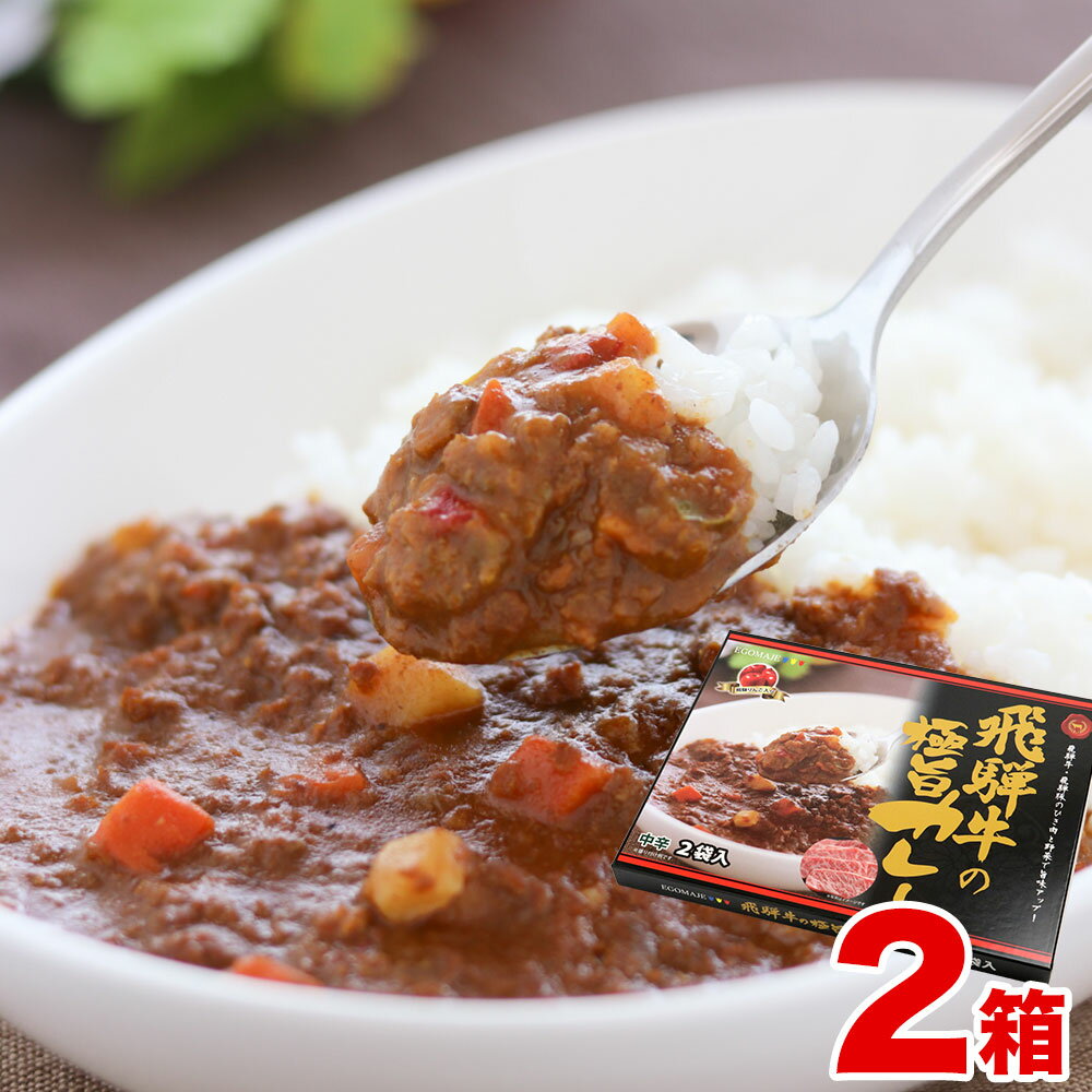【ふるさと納税】飛騨牛の極旨カレー 飛騨牛カレー 2食入り×2箱 牛肉 和牛 肉 熨斗掛け [B0056pi]