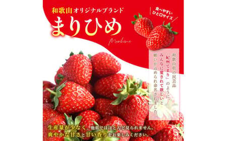 【先行予約】まりひめイチゴ4パック 食べやすいひと口サイズ M～L（15粒～20粒入×4パック）【2027年1月中旬?3月下旬頃に順次発送】（お届け日指定不可）/ いちご 苺 まりひめ 和歌山 フルー