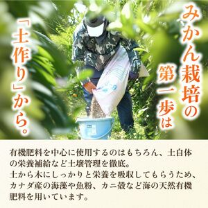 頑固オヤジの 有田 みかん 10kg 家庭用 / 温州みかん 有田みかん 甘い 訳あり 和歌山 柑橘 ※2026年11月中旬～2027年1月下旬頃に順次発送 【krf004-c-10A】