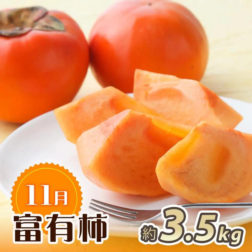 【10・11・12月 全3回】和歌山産 みかんと柿のお楽しみ 定期便 【魚鶴商店】【UT111】