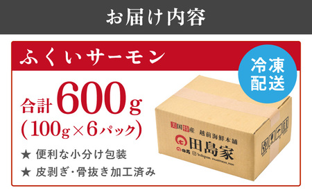 ふくいサーモン合計 600g（刺身用）100g× 6パック 真空冷凍【サーモン 鮭 刺身 さけ サケ さかな 魚 人気 海鮮 海鮮食品 小分け お刺身用 生食用 生食可 低脂肪 低カロリー ヘルシー 
